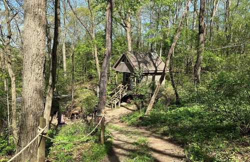 Negley Cabin | Private off grid cabin nestled on 40 acres at historic Camp Bouquet