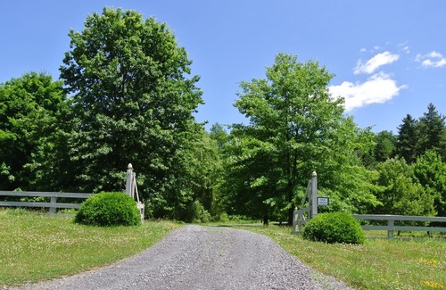Hollowville House | Private pool on 8 acres. Minutes from Hudson, Copake Lake, OMI, Klocke & Olana!