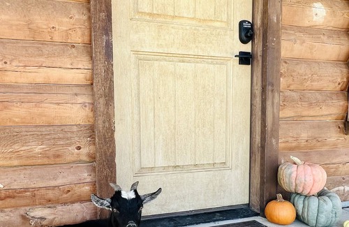 Edwards County House | Private Ranch with well-appointed 4 bed/4 bath log cabin!
