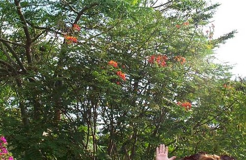 Bunda Resort | Private room ∙ 2 guests