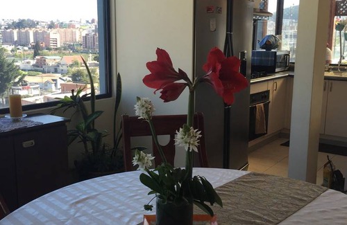 Quito Resort | Private room ∙ 3 guests