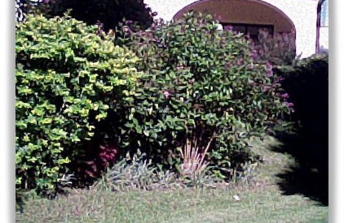 Wundanyi Resort | Private room ∙ 4 guests