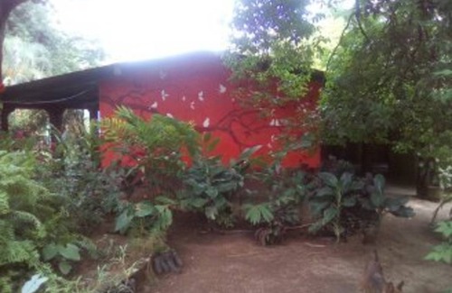 Ocotal Resort | Private room ∙ 4 guests