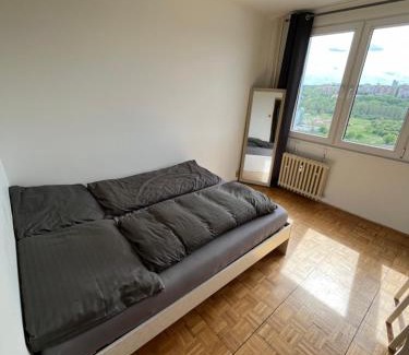 Zabehlice House | Private room in a shared park-side apartment with a great connection to the city center