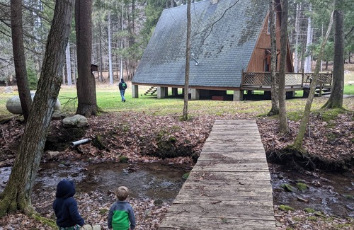 Benezette Cabin | Private Rustic A-Frame in the Heart of Elk Country