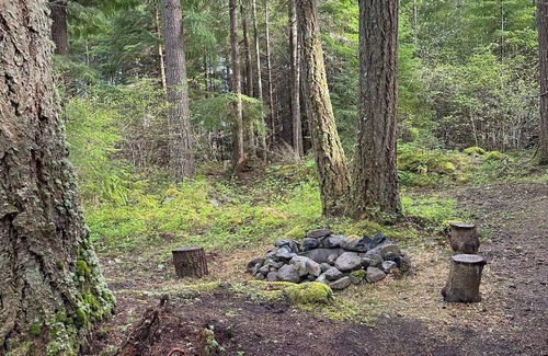 Packwood House | Private RV parking at the base of Mt. Rainier. Have the forest to yourself!