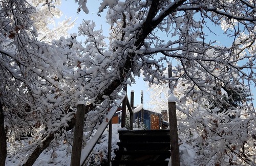 Cottonwood Heights Apartment | Private Sauna Cozy Mountain Basement Apt Fast Wifi 2bd 1ba