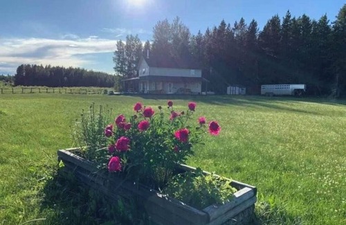 Division No. 11 House | Private Secluded House and yard on Beautiful 1/4 section - Pet Friendly