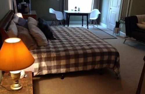 Chesapeake Apartment | Private, Spacious Studio Apartment, Bathroom