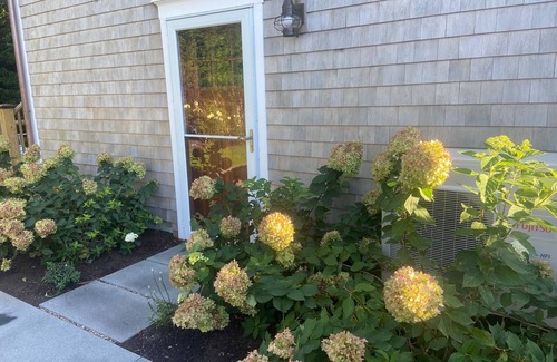 West of Town Apartment | Private Studio Apartment Close to Town and Beaches