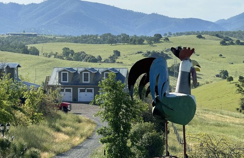 Valley Springs Apartment | Private Studio in the middle of a 750 acres working Cattle Ranch