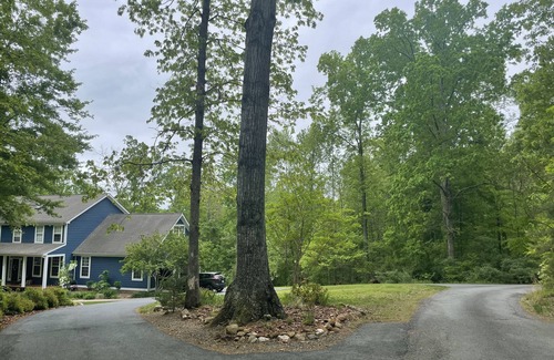 Batesville Apartment | Private studio apartment in the heart of Ivy, Virginia