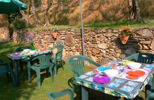 Calci House | PROMOTION Typical Tuscan dwelling, house with garden among olive trees