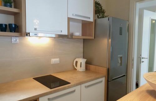 Krusevac Apartment | PRONTO apartman & PRONTO studios