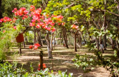 Chiesiola Resort | Property in a holiday village 'Baia Falcone - Standard 305' with sea view and air conditioning