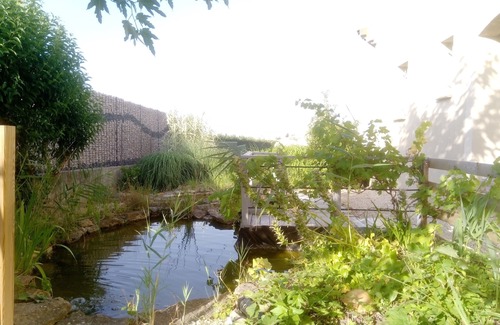 Pont-Saint-Esprit House | Provencal house with lovely pool and garden, close to the Ardèche!