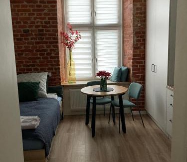 Srodmiescie Apartment | przytulnie w Łodzi