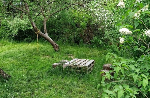 gmina Wizna Apartment | Przytulny apartament na skraju Bagien Biebrzańskich