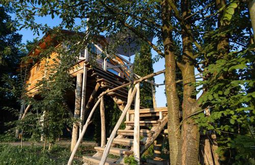 Ustek House | Ptačí domek
