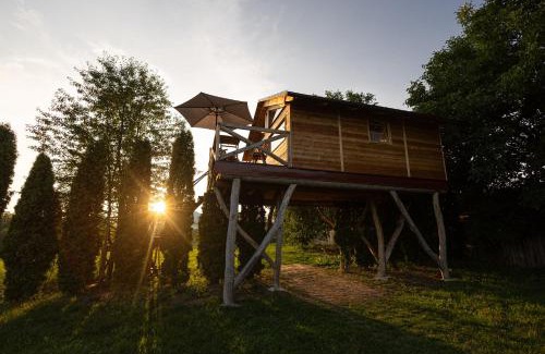Ustek House | Ptačí domek