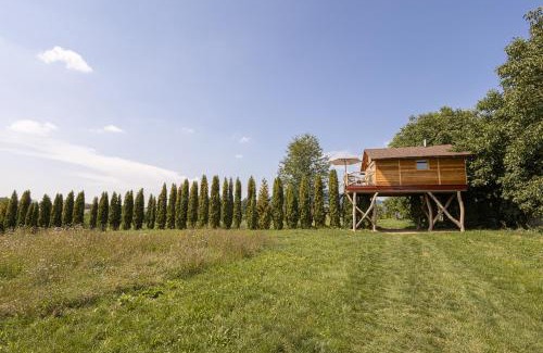 Ustek House | Ptačí domek
