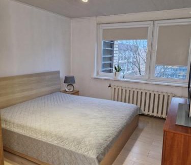 Birstonas Apartment | Pušų lašas apartamentai