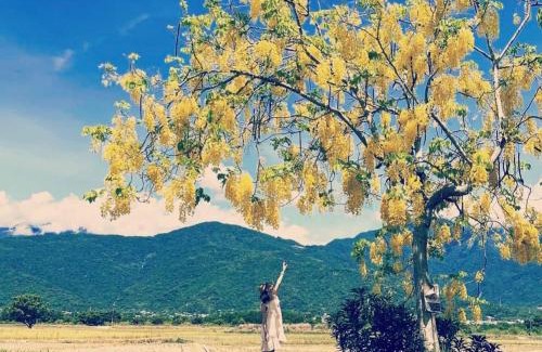 Yuli House | Pu Shi Homestay