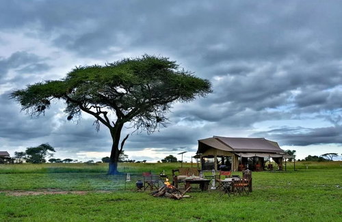 Serengeti National Park Hotel | Pumzika Luxury Safari Camp