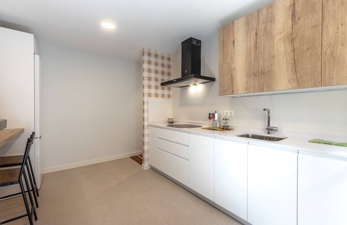 Abando Apartment | Puppy apartment