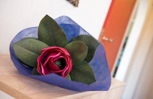 Agios Sostis Apartment | Pura Vida Home