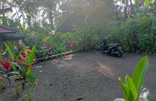 Penebel House | Purana Guest House