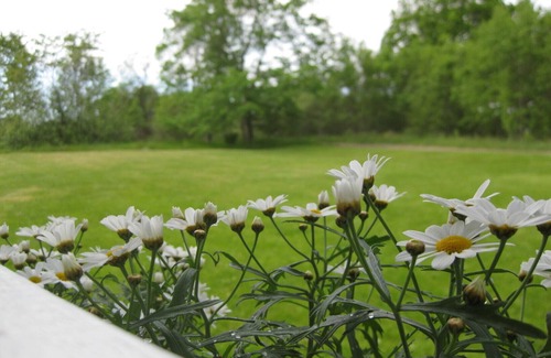 Bodafors House | Pure nature - holiday by the river Emån and with deer as neighbors
