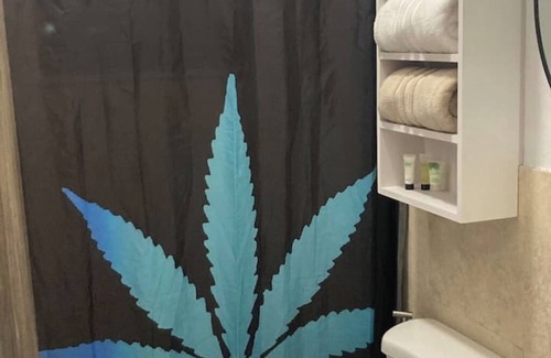 Hato Abajo Bed & Breakfast | Purple Haze@BednBongExpnn