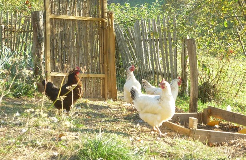 Lies Cottage | Pyrenees-Nature Cottage (2/3pers) and Meditation Workshop