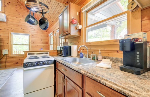 Laurel Springs Cabin | Quaint Cabin w/Stream in Blue Ridge!