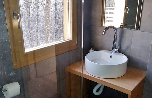Lovinac Ski Chalet | Quaint Chalet in Drenovac Raducki Among Trees