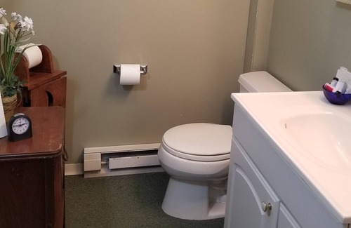 Waterville Cottage | Quaint cottage close to rail trail and next to Pine Creek.