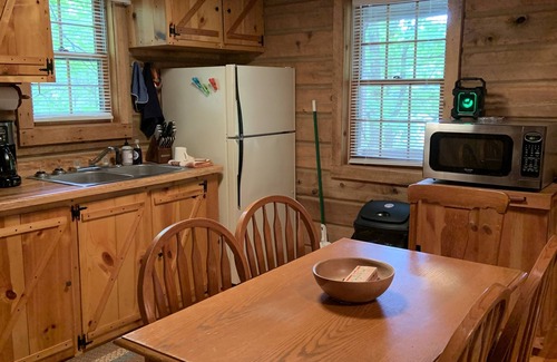 Flat Hollow Marina Cabin | Quaint, Rustic Lakefront Log Cabin on Wooded Lot at Norris Lake ,Private Dock!