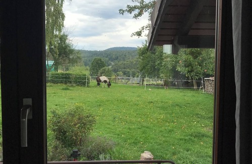 Zeitlofs House | Quaint vacation home with ponies in the Rhön biosphere reserve 🐕🐎