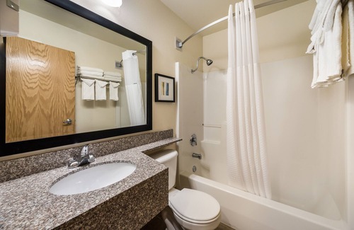 Fallon Hotel | Quality Inn & Suites near NAS Fallon