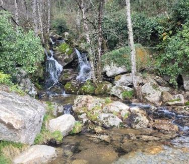 Castro Daire Apartment | Quarto da eira