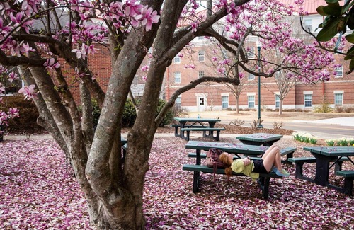 University Condo | Quick walk to Campus/The Square & 3 Parking Spots!