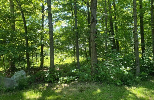 Town of Hanover House | Quiet, country 2-bedroom mobile home with WiFi, AC in welcoming Forestville