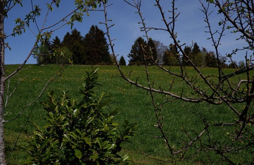Dachsberg Apartment | Quiet vacation apartment in the southern Black Forest, 10 minutes from St. Blasien
