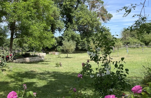 Fabregues House | Quiet farmhouse in the heart of nature