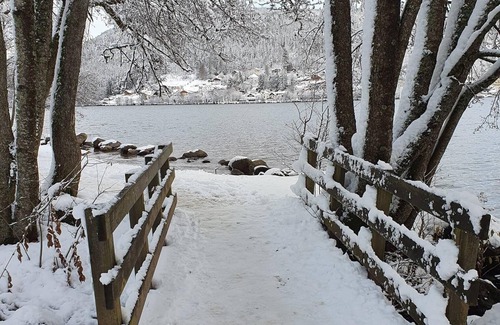 Aumontzey House | Quiet house 15 minutes from Gerardmer, sleeps 8, pets allowed