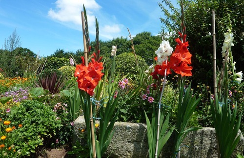 Plogonnec House | Quiet house between Quimper and Douarnenez