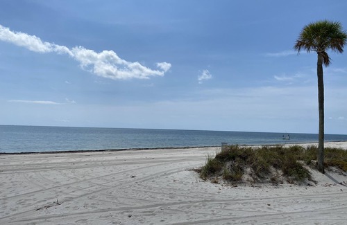 Key Biscayne Condo | Quiet Key Biscayne Apartment Home