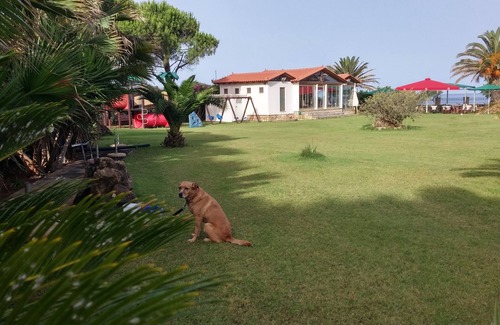 Kiparissia Apartment | Quiet luxury beachfront Suites in Kalo Nero Beach with spectacular ocean views