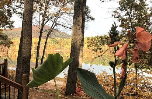 Denmark Cottage | Quiet, picturesque lake cottage on Long Pond. 7 minutes to Pleasant Mountain!
